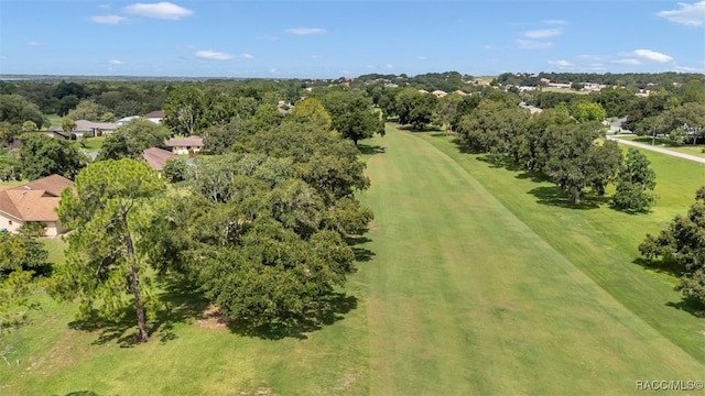 391 E Falconry Ct, Hernando, FL 34442 - aerial view of a tree filled landscape