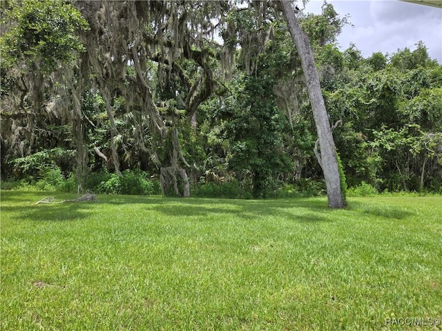 1125 Heron Point Dr, Inverness, FL 34453 - photo 18