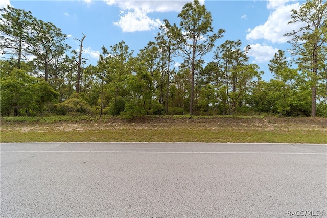 9200 N Citrus Springs Blvd, Citrus Springs FL, 34433 land for sale