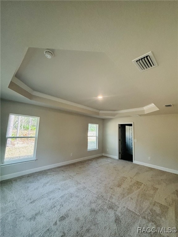 carpeted spare room featuring a raised ceiling