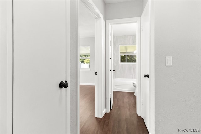 corridor featuring dark hardwood / wood-style floors