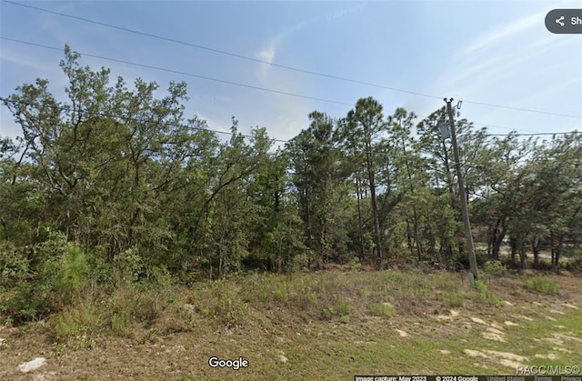 3420 W Eldridge Dr, Citrus Springs FL, 34433 land for sale