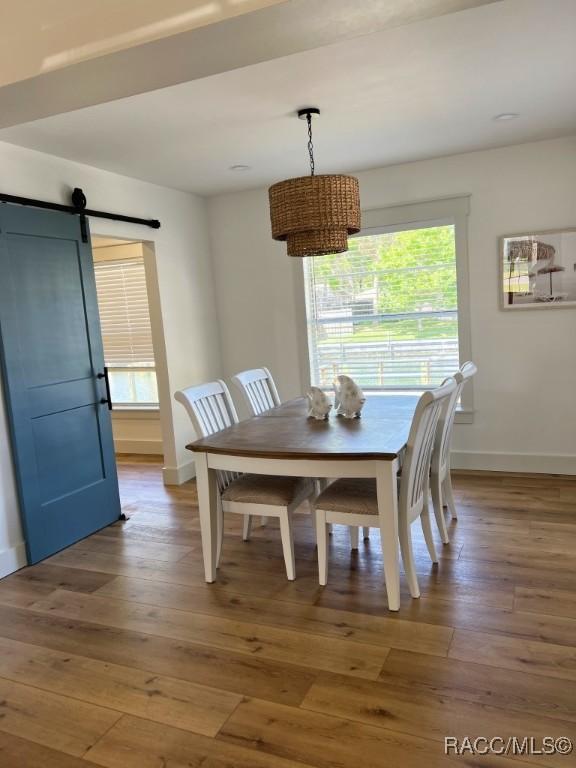 dining room featuring wood-type flooring and a barn door