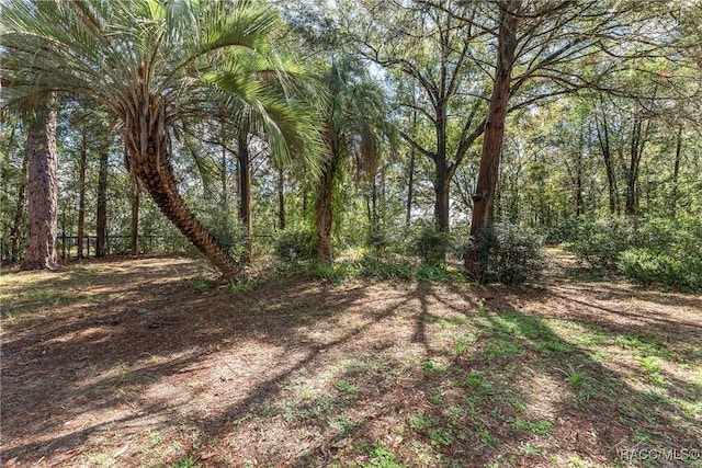 view of local wilderness featuring a forest view