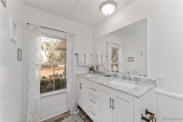 bathroom featuring double vanity, a wealth of natural light, and a sink