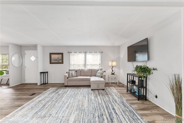 living room with wood finished floors