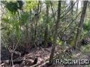 10714 W Marker Path, Homosassa FL, 34448 land for sale