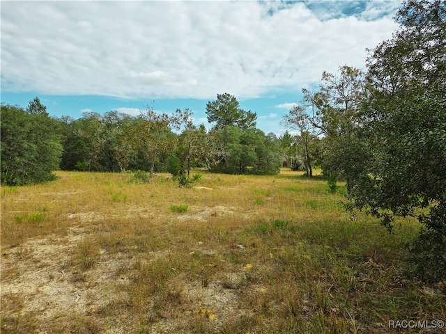 Listing photo 3 for 9097 N Peewee Pt, Dunnellon FL 34433