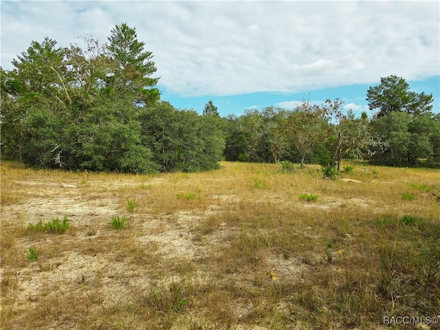 9097 N Peewee Pt, Dunnellon FL, 34433 land for sale