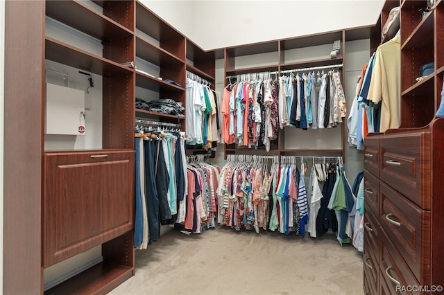 walk in closet with light colored carpet