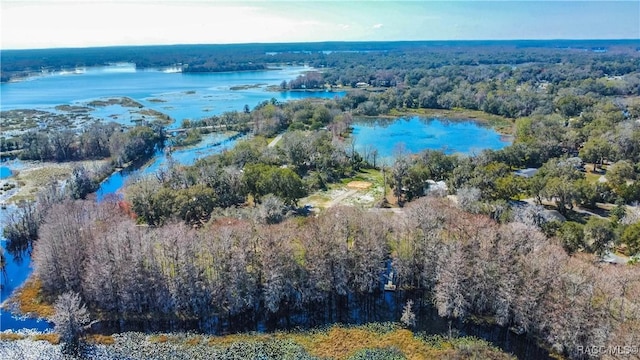 drone / aerial view with a water view and a wooded view