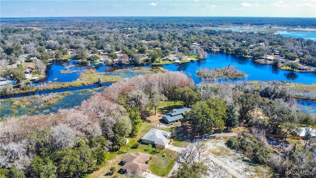 drone / aerial view with a water view and a view of trees