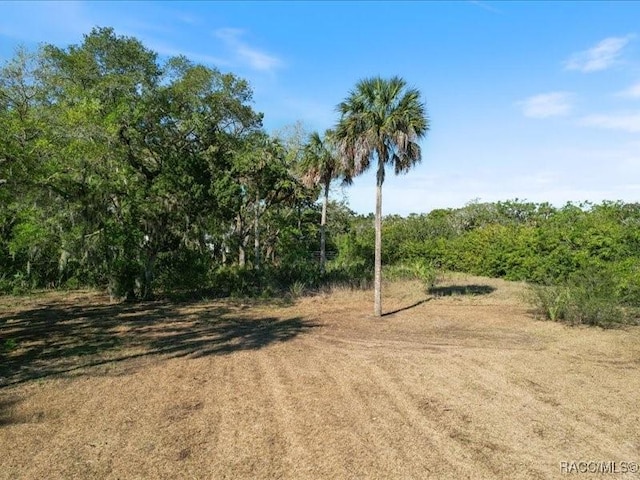 Listing photo 3 for 1465 S Surf Loop, Crystal River FL 34429