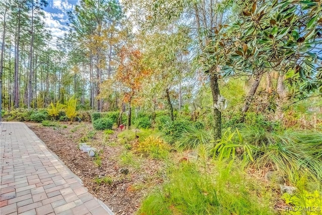 20 Glenridge Blvd, Homosassa, FL 34446 - photo 58