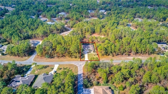 20 Glenridge Blvd, Homosassa, FL 34446 - photo 74