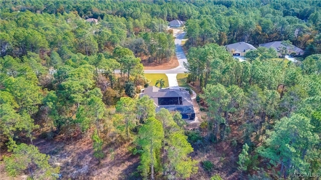 20 Glenridge Blvd, Homosassa, FL 34446 - photo 70