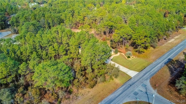 20 Glenridge Blvd, Homosassa, FL 34446 - photo 73