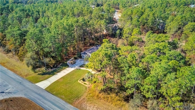 20 Glenridge Blvd, Homosassa, FL 34446 - photo 67