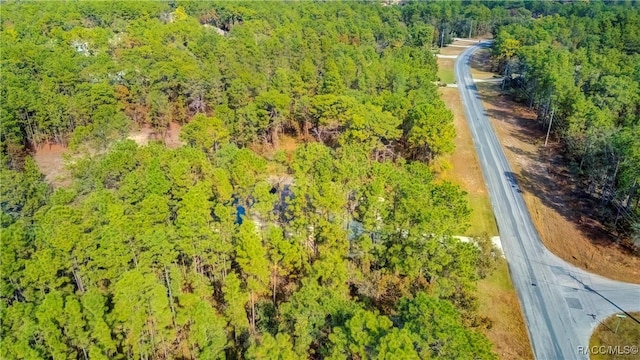 20 Glenridge Blvd, Homosassa, FL 34446 - photo 72
