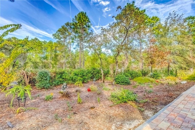 20 Glenridge Blvd, Homosassa, FL 34446 - photo 60