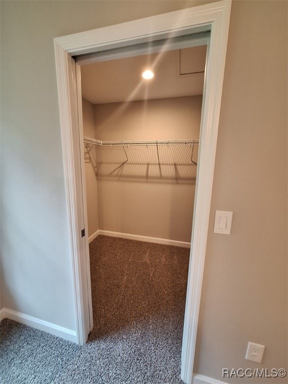 spacious closet with carpet floors