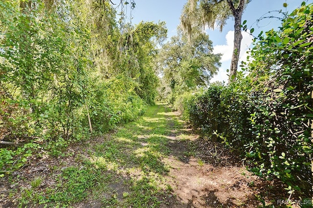 view of landscape