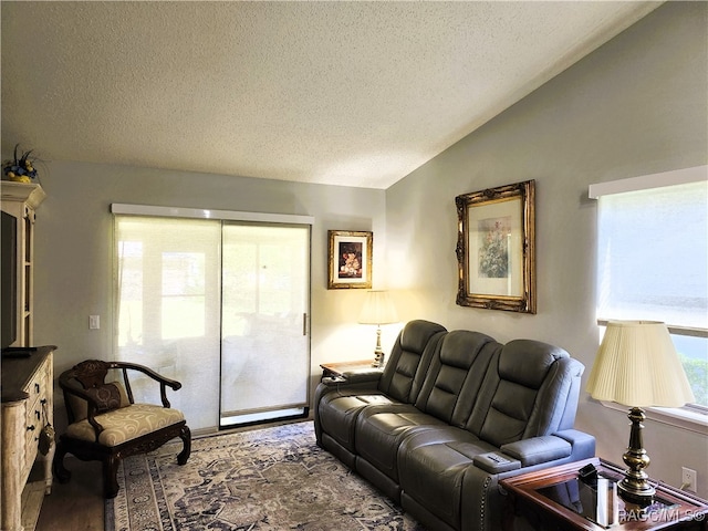 living room featuring a textured ceiling, wood-type flooring, and vaulted ceiling