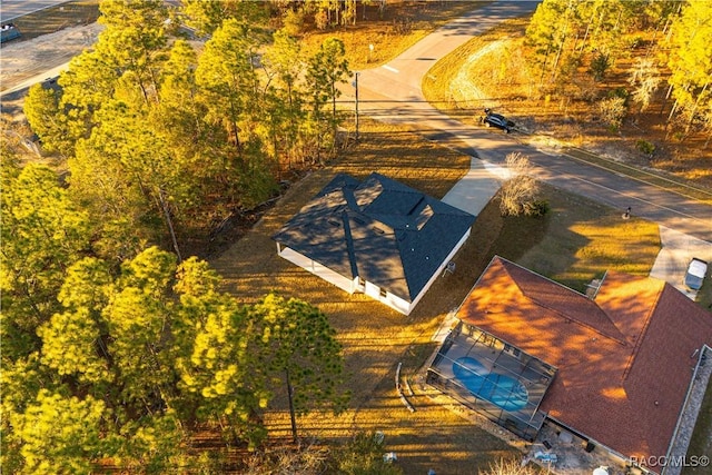 bird's eye view