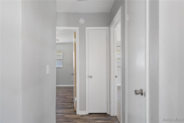 hallway featuring dark wood finished floors and baseboards