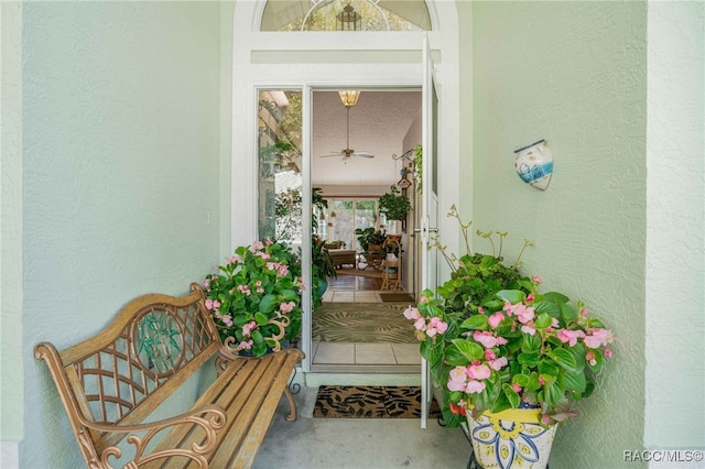 doorway to property featuring stucco siding