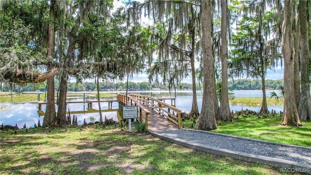 dock area featuring a water view