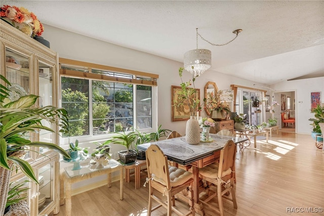 dining room with plenty of natural light, light wood-type flooring, and a textured ceiling