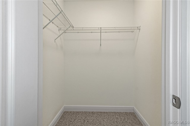 walk in closet featuring carpet floors