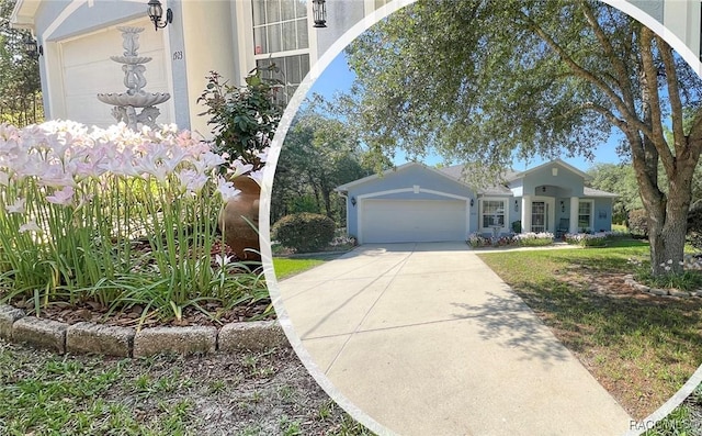 1923 W Mcneal Dr, Citrus Springs, FL 34434 - view of front of home featuring an attached garage, concrete driveway, and stucco siding