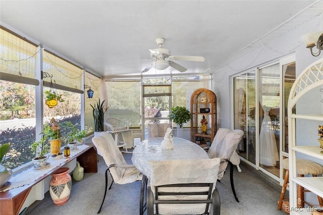 1923 W Mcneal Dr, Citrus Springs, FL 34434 - sunroom with a ceiling fan, outdoor dining space, and carpet floors