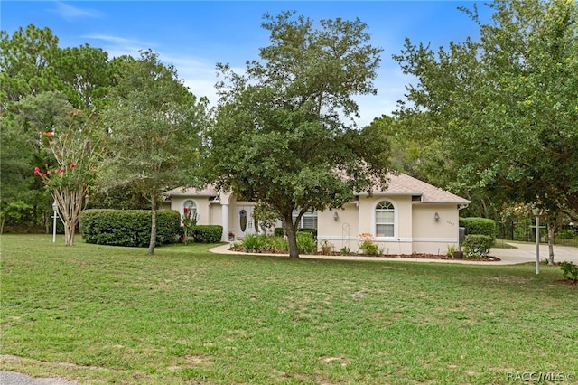 view of front facade with a front yard