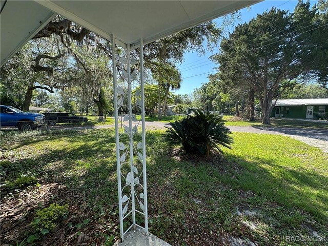 10765 W Spring Cir, Crystal River, FL 34428 - view of green lawn