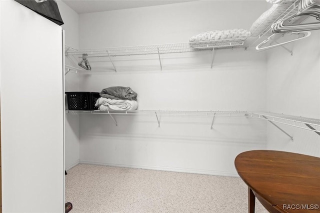 9989 N Langdon Rd, Citrus Springs, FL 34434 - view of spacious closet