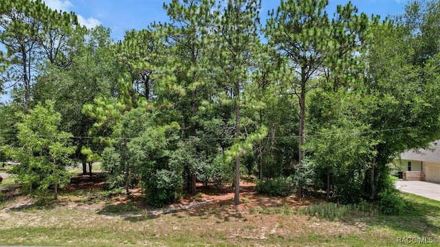 9989 N Langdon Rd, Citrus Springs, FL 34434 - view of nature