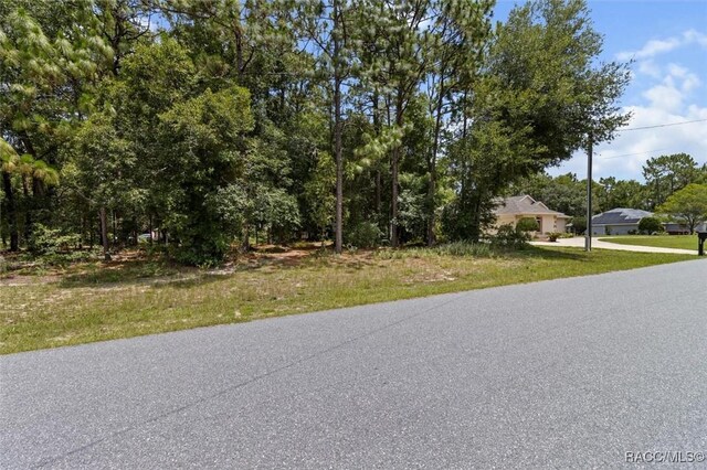 9989 N Langdon Rd, Citrus Springs, FL 34434 - view of asphalt street