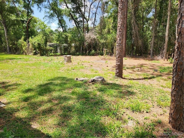 6065 E Marble Ln, Inverness, FL 34452 - photo 27