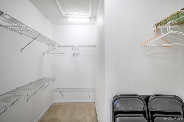 5694 W Hunters Ridge Cir, Lecanto, FL 34461 - view of walk in closet