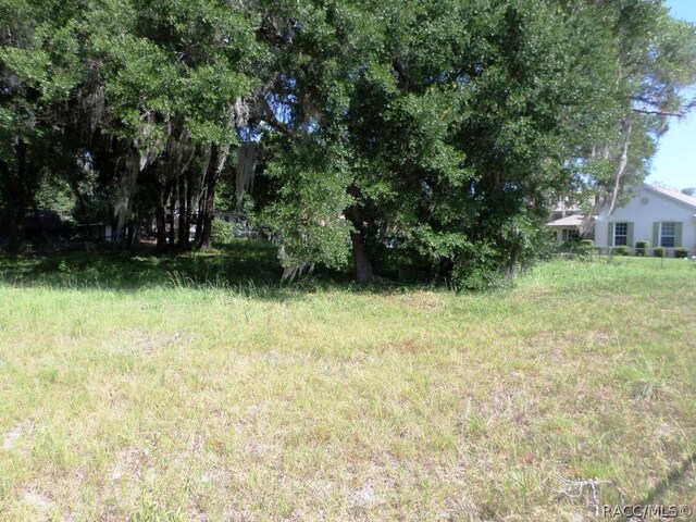 000 Blue Heron Dr, Dunnellon FL, 34432 land for sale