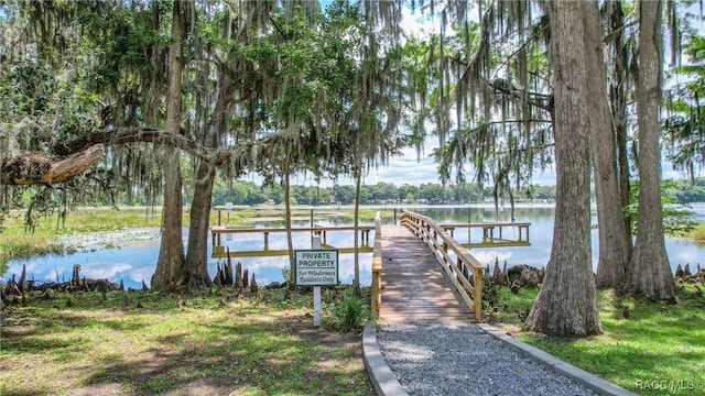 705 Peebles Ct, Inverness, FL 34453 - photo 30