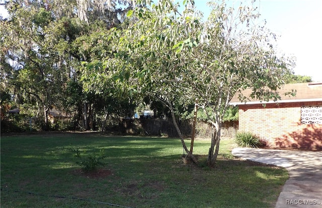 view of yard
