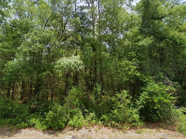 2871 W Sunkist Ln, Dunnellon FL, 34433 land for sale