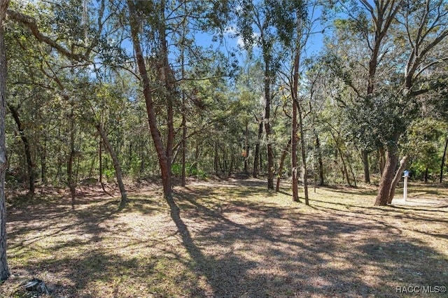 view of local wilderness featuring a forest view