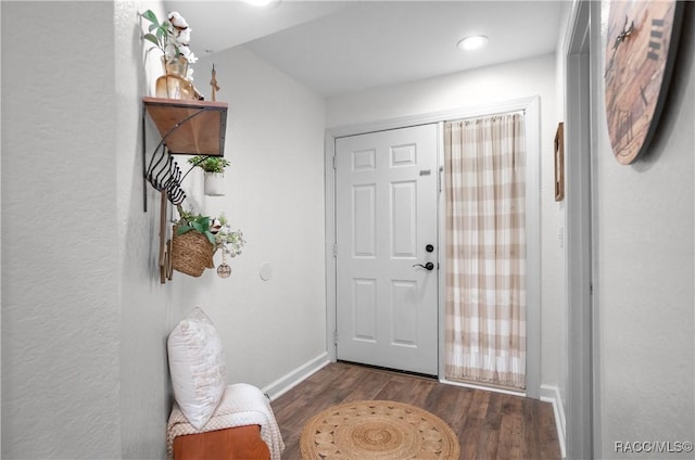 foyer entrance featuring dark wood-type flooring