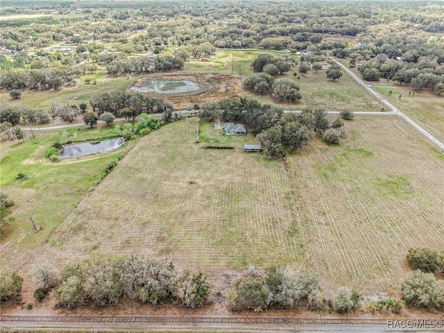 birds eye view of property featuring a rural view and a water view