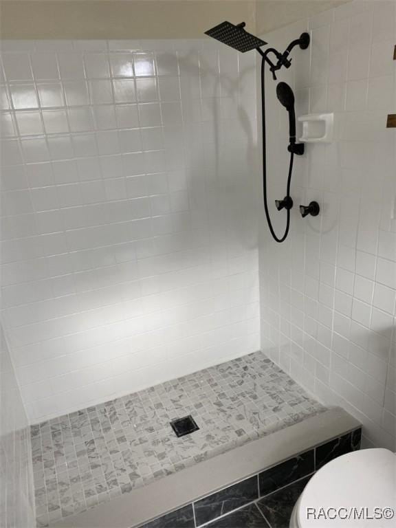 45 S Davis St, Beverly Hills, FL 34465 - bathroom featuring a tile shower and toilet